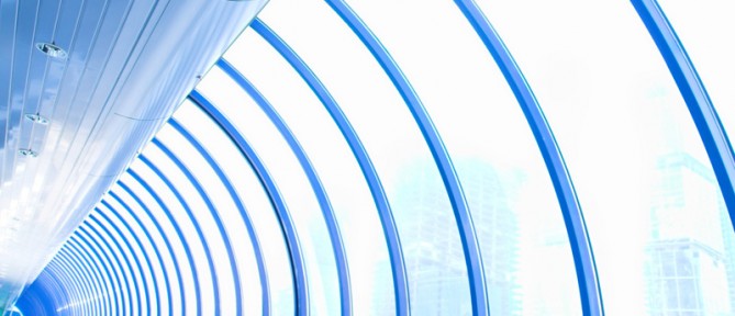 Etiam dictum egestas